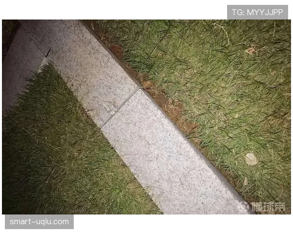 边线规则有哪些细节容易被误判?全面拆解边线判罚标准 边线规则有哪些细节容易被误判?全面拆解边线判罚标准